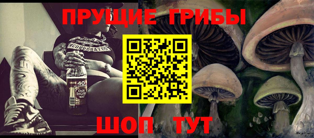 Курчатов  Галлюциногенные грибы прущие грибы  Псилоцибиновые грибы GOLDEN TEACHER  Вход с VPN 