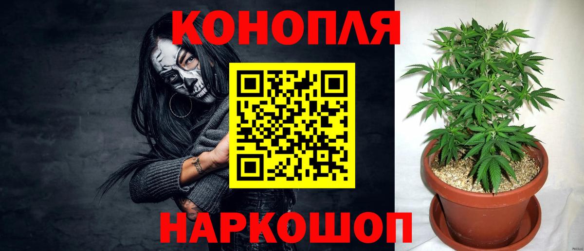 Канабис OG Kush Курчатов